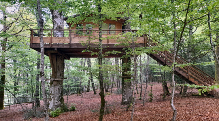 cabanes dans les arbres