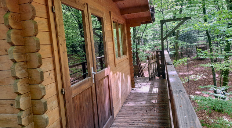 passer un séjour dans les arbre