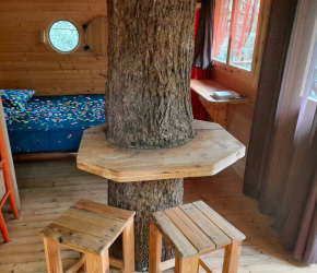 L'interieur des cabanes dans les arbres