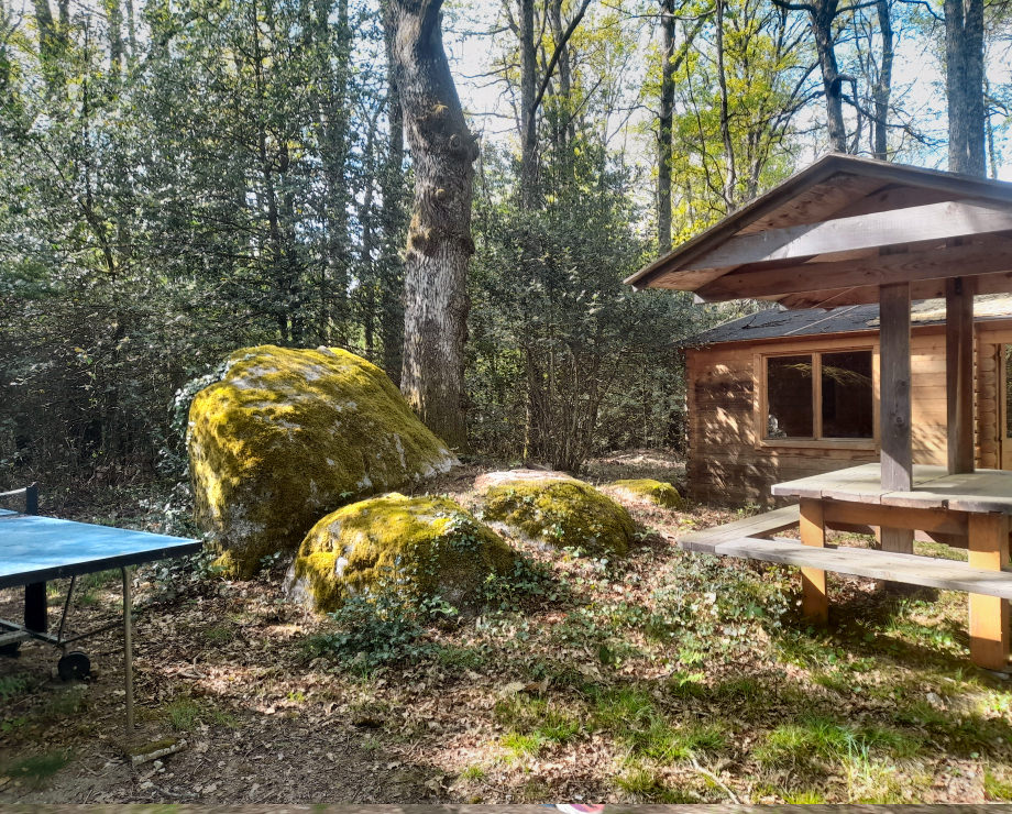 cabane dans les arbres