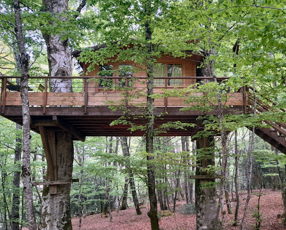 cabane dans les arbres