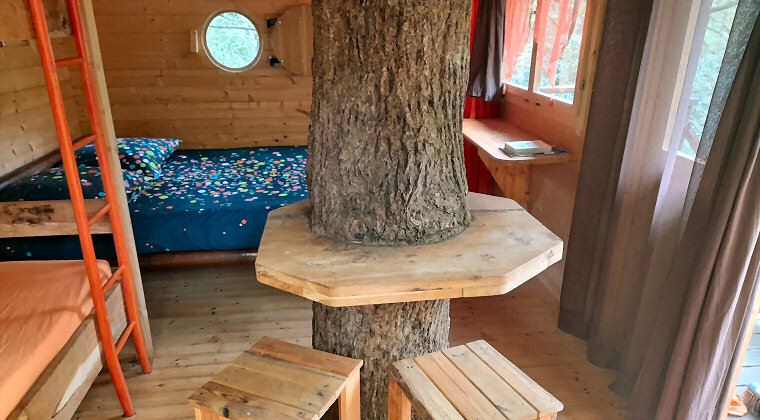 location insolite dans les arbres