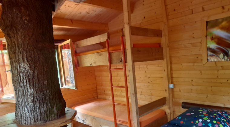 séjour dans les arbres