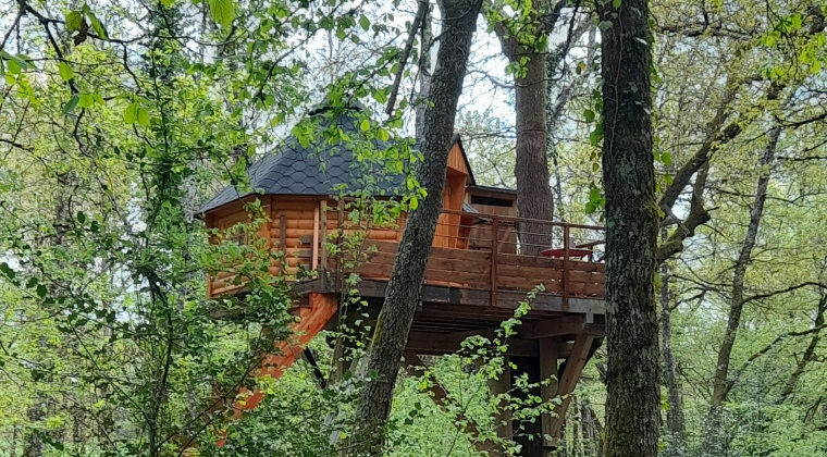 Cabane dans les arbres